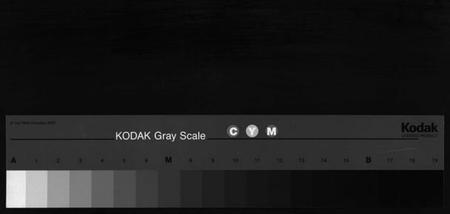浙江徐氏族谱-双锦徐氏宗谱 [8卷].pdf电子版