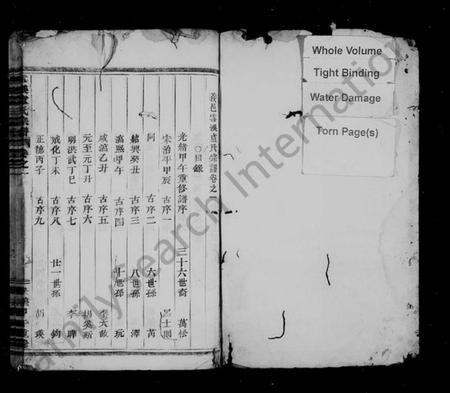 浙江卢氏族谱-雪溪卢氏宗谱 [4卷].pdf电子版插图2