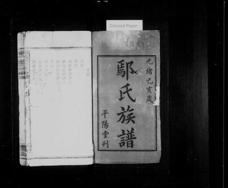 湖南鄢氏族谱-鄢氏续修族谱 [4卷,首1卷].pdf电子版插图2