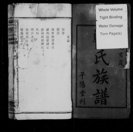 湖南鄢氏族谱-鄢氏续修族谱 [4卷,首1卷].pdf电子版插图3