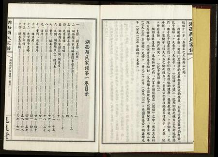 湖南颜氏族谱-湖西颜氏家谱.pdf电子版插图4 湖南颜氏族谱-湖西颜氏家谱.pdf电子版插图4