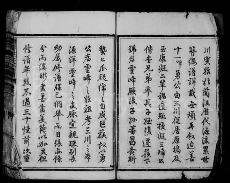 浙江王氏族谱-灵峰王氏家乘 [6卷].pdf电子版插图4