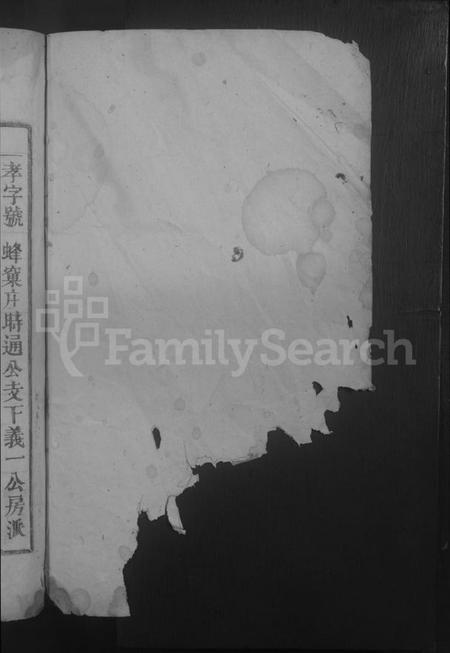 江西刘氏族谱-刘氏大成宗谱.pdf电子版插图2