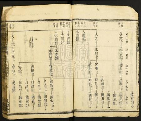 湖南颜氏族谱-颜氏续修宗谱.pdf电子版插图3