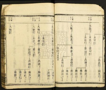 湖南颜氏族谱-颜氏续修宗谱.pdf电子版插图4