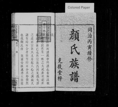 湖南颜氏族谱-颜氏续修族谱 [7卷,含卷首].pdf电子版插图2