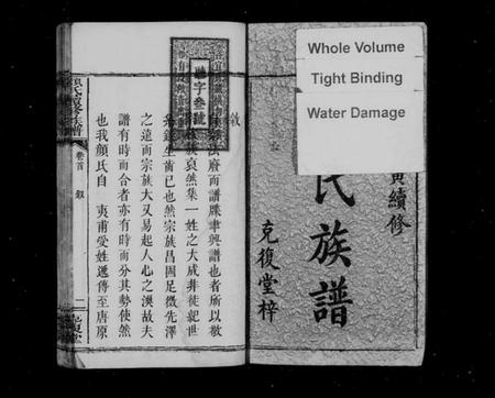 湖南颜氏族谱-颜氏续修族谱 [7卷,含卷首].pdf电子版插图3