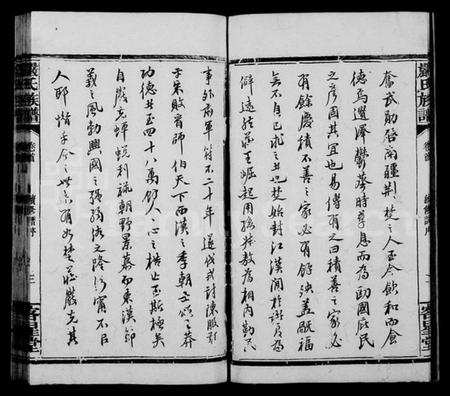 湖南严氏族谱-严氏族谱 [不全].pdf电子版插图4