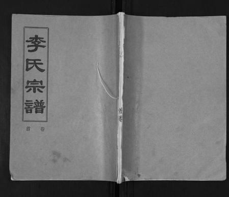 湖北李氏族谱-李氏宗谱[9卷首1卷].pdf电子版