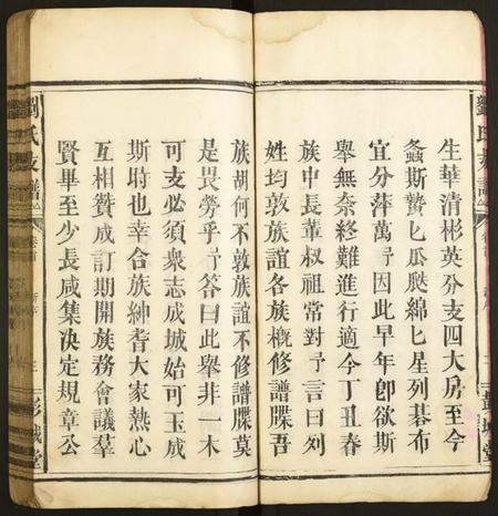 江西刘氏族谱-刘氏支谱.pdf电子版插图3