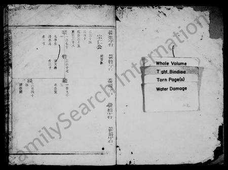 浙江王氏族谱-须江蓝田王氏宗谱 [残卷].pdf电子版插图2