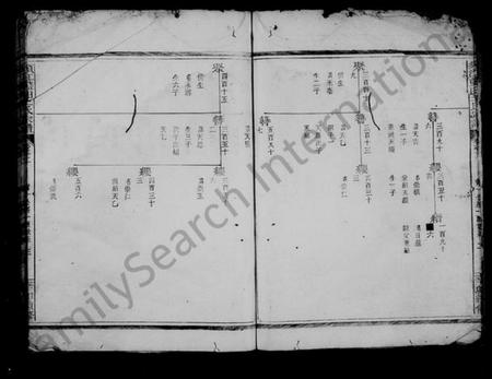浙江王氏族谱-须江蓝田王氏宗谱 [残卷].pdf电子版插图4