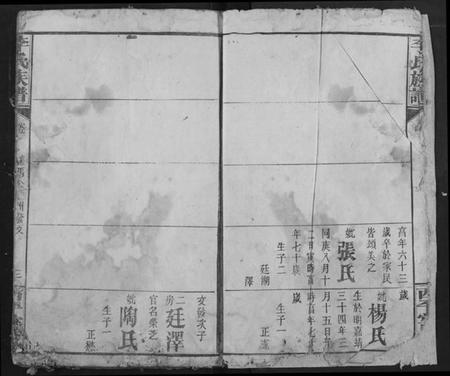 湖北李氏族谱-李氏族谱.pdf电子版插图4 湖北李氏族谱-李氏族谱.pdf电子版插图4