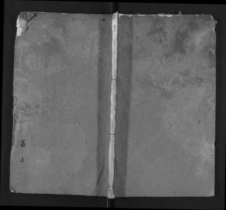 湖北李氏族谱-李氏族谱[各房分卷,首2卷].pdf电子版