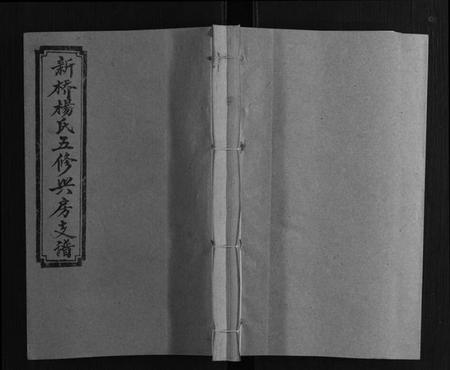 湖南杨氏族谱-新桥杨氏五修兴房支谱[16卷首末各1卷].pdf电子版