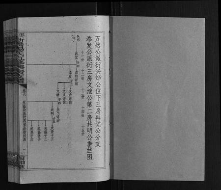 湖南杨氏族谱-新桥杨氏五修兴房支谱[16卷首末各1卷].pdf电子版插图1