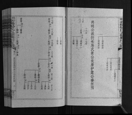 湖南杨氏族谱-新桥杨氏五修兴房支谱[16卷首末各1卷].pdf电子版插图2