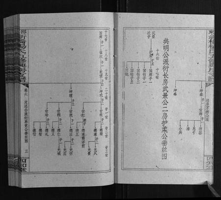 湖南杨氏族谱-新桥杨氏五修兴房支谱[16卷首末各1卷].pdf电子版插图3