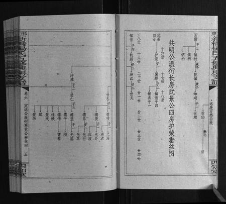 湖南杨氏族谱-新桥杨氏五修兴房支谱[16卷首末各1卷].pdf电子版插图4