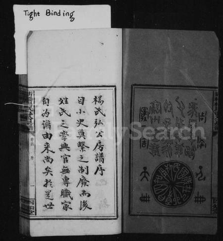 湖南杨氏族谱-新桥杨氏弘公房谱 [6卷,首末各1卷].pdf电子版插图3