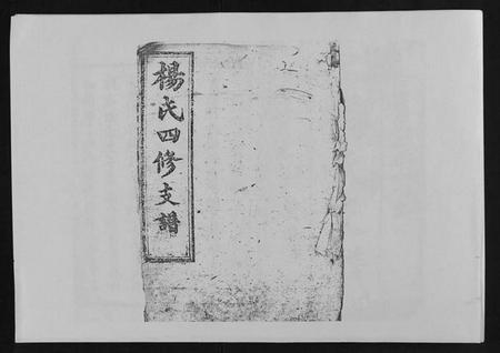 湖南杨氏族谱-杨氏四修支谱 [4卷首末各1卷].pdf电子版