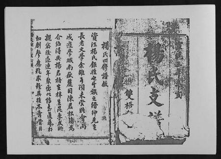 湖南杨氏族谱-杨氏四修支谱 [4卷首末各1卷].pdf电子版插图1