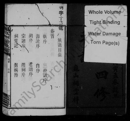 湖南杨氏族谱-杨氏四修支谱 [6卷,首末各1卷].pdf电子版插图4