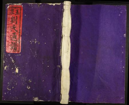 江西刘氏族谱-玉泉刘氏族谱.pdf电子版