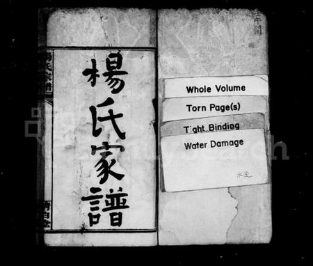 湖南杨氏族谱-杨氏家谱 [32卷,及卷首].pdf电子版插图2