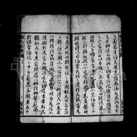 湖南杨氏族谱-杨氏家谱 [32卷,及卷首].pdf电子版插图4