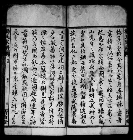 湖南杨氏族谱-杨氏家谱 [32卷,及卷首].pdf电子版插图5