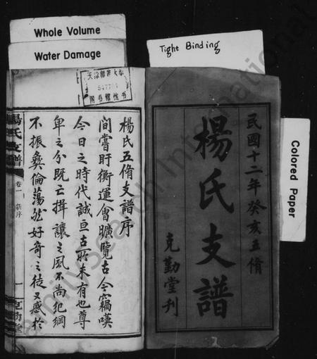 湖南杨氏族谱-杨氏支谱 [10卷].pdf电子版插图2