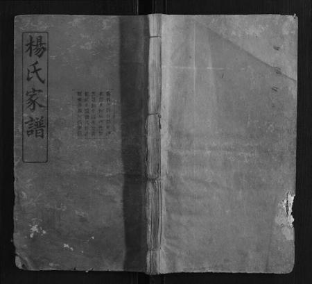 湖南杨氏族谱-杨氏支谱[14卷首末各1卷].pdf电子版