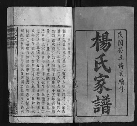 湖南杨氏族谱-杨氏支谱[14卷首末各1卷].pdf电子版插图1