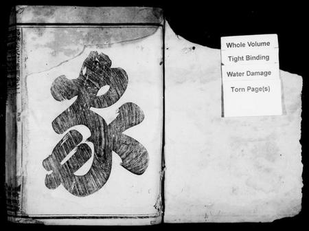 浙江叶氏族谱-马海叶氏宗谱 [13卷].pdf电子版插图2