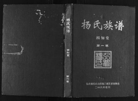 湖南杨氏族谱-杨氏族谱.pdf电子版