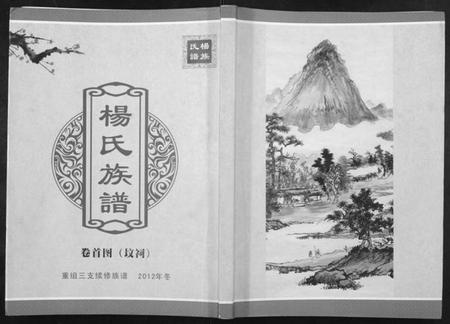 湖南杨氏族谱-杨氏族谱.pdf电子版