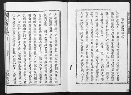 湖南杨氏族谱-杨氏族谱.pdf电子版插图2