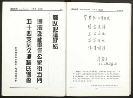 湖南杨氏族谱-杨氏族谱.pdf电子版插图3