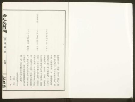 湖南杨氏族谱-杨氏族谱.pdf电子版插图1