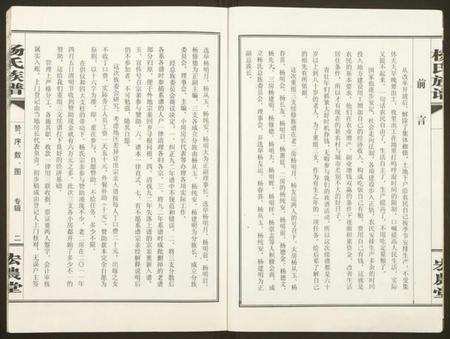 湖南杨氏族谱-杨氏族谱.pdf电子版插图2