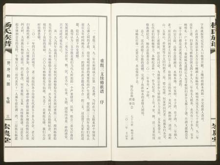 湖南杨氏族谱-杨氏族谱.pdf电子版插图3