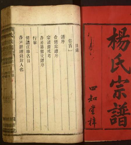 湖南杨氏族谱-杨氏族谱.pdf电子版插图1