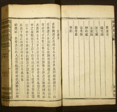 湖南杨氏族谱-杨氏族谱.pdf电子版插图3