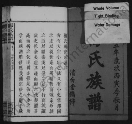 湖南杨氏族谱-杨氏族谱 [10卷,及卷首].pdf电子版插图3