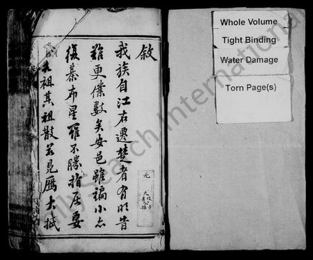 湖南杨氏族谱-杨氏族谱 [13卷,首1卷].pdf电子版插图2