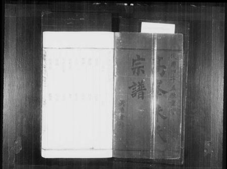 浙江朱氏族谱-高峰朱氏宗谱 [4卷].pdf电子版插图2