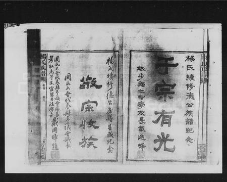 湖南杨氏族谱-杨氏族谱 [2卷,及卷首].pdf电子版插图3