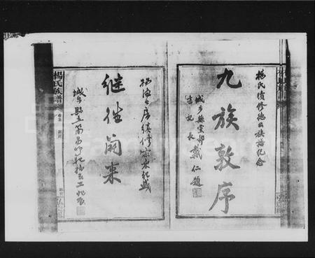 湖南杨氏族谱-杨氏族谱 [2卷,及卷首].pdf电子版插图5