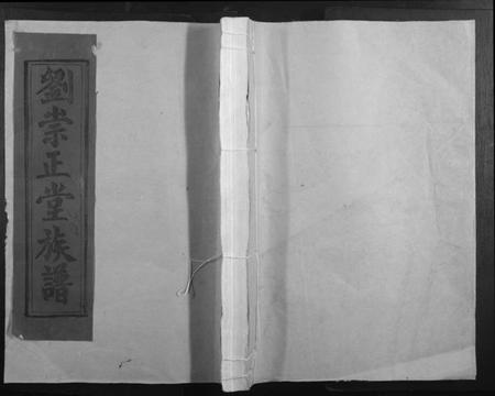 江西刘氏族谱-赣县玉田刘崇正堂族谱.pdf电子版